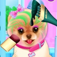pet_haircut_beauty_salon Spiele